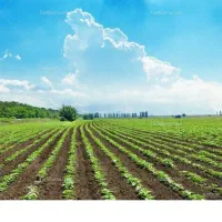 زمین-کشاورزی-حسن-اباد-فشافویه
