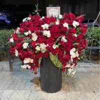 گلفروشی ژین