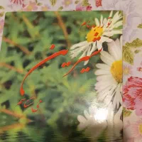 شاعر و بداهه سرا هستم