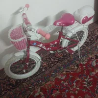 دوچرخه تاسن ۹ سال