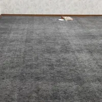 موکت پرادا ( اداری و مسکونی )+ پونه|موکت|رباطکریم, آدران|دیوار