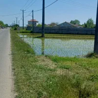 850-زمین-کشاورزی-املاک-باما