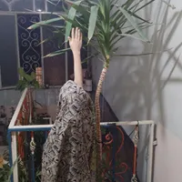 گل یوگا۱۰ساله
