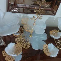 سرویس پذیرایی رزینی