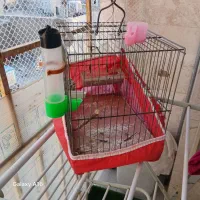 دوعدد قفس ۴۰۰