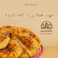 استخدام ویزیتور