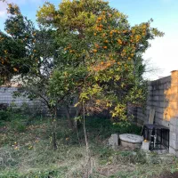 ویلا ۴۰۰ متری در شهمیسرا|فروش خانه و ویلا|زیباکنار, |دیوار