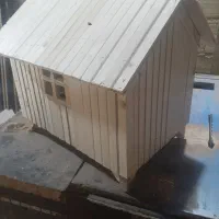 انواع قفس واستدگل|لوازم جانبی حیوانات|شاهرود, |دیوار