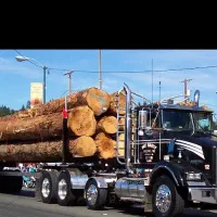 راننده پایه یک هستم