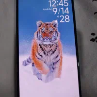 ردمی نوت ۱۲ دوسیم کارت