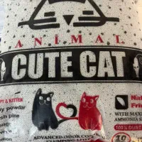 خاک گربه و غذای خشک گربه