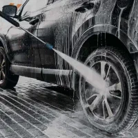 نیروی کارواش