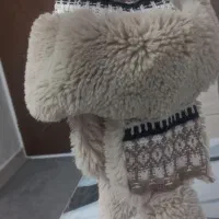 کلاه زمستانی