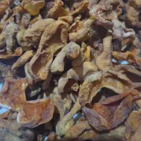 فروش ویژه زعفران خراسان رضوی از کشاورز|حراج|ری, شهرری|دیوار