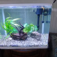 آکواریوم دلسا k500