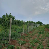 فنس کشی باغ محوطه زمین کلی وجزی خرده کاری تعمیرات