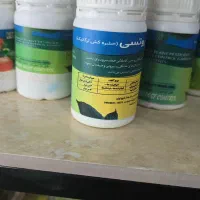 اسپری حشره کش گلخانه و سایر سموم|خدمات باغبانی و درختکاری|فردیس, فردیس|دیوار