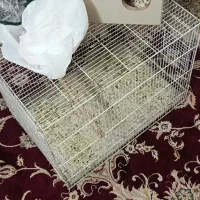 قفس بزرگ نو|لوازم جانبی حیوانات|مشهد, ثامن|دیوار