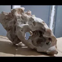 تزیینات آکواریم