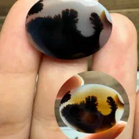 شجر قائن|جواهرات|قم, شهرک امام حسین|دیوار