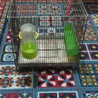 قفس جنس خوب مناسب سهره
