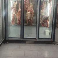 فروش یخچال قصابی
