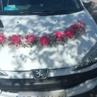 206 اس دی موتور تیو فایو|خودرو سواری و وانت|اصفهان, خلجا|دیوار