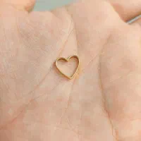 پلاک در حد نو|جواهرات|آمل, |دیوار