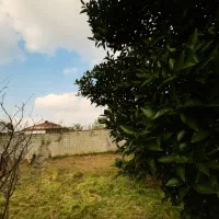 فروش زمین مسکونی در قلعه رودخان فومن