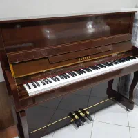 پیانو آکوئستیک|پیانو، کیبورد، آکاردئون|شیراز, پارک آزادی|دیوار