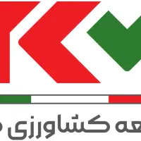 نیروی خدماتی برای نظافت