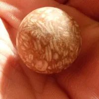 سنگ آسیاب|کلکسیون اشیاء عتیقه|معمولان, |دیوار