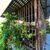 ۲.۷ هکتار زمین کشاورزی/باغی، پلیس‌راه|فروش زمین و ملک کلنگی|نیشابور, فضل|دیوار