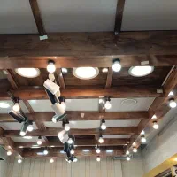 پنل چوبی سقف چراغ دار لاکچری|فروشگاه و مغازه|سبزوار, ابوریحان|دیوار