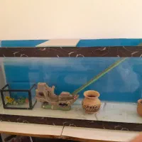 اکواریم وسایل