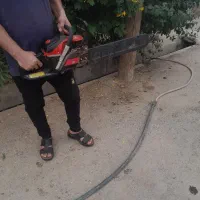 برش‌درخت و‌هرس‌کردن.