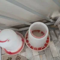 دانخوری  و آبخوری