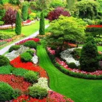 خدمات باغبانی تعویض خاک گلدان سراسر تهران و حومه