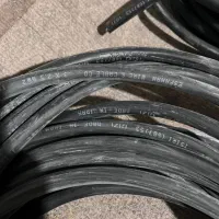 معاوضه کبوتر دمگیر خرقه با کابل برق|پرنده|برخوار, |دیوار