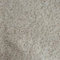 فروش برنج فجر