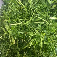 سبزی خرد شده|خوردنی و آشامیدنی|تهران, هفده شهریور|دیوار
