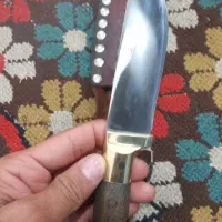 چاقو دسته شاخ تیز بشرط