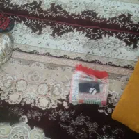 گم شدن شناسنامه فاطمه سپاهی
