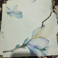 پاکت پول