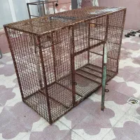فروش گنجه و درب گنجه|لوازم جانبی حیوانات|شیراز, گلکوب|دیوار