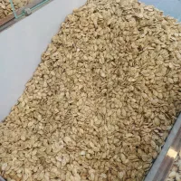 تخمه گل افتاب و کدو