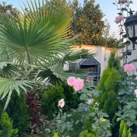 فروش ویلای بسیار زیبا استخر دار در جاده نظامی|فروش خانه و ویلا|قائم‌شهر, |دیوار