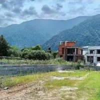 فروش زمین افساطی بدون بهره ویو جنگل منطقه امن|فروش زمین و ملک کلنگی|چمستان, |دیوار