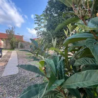 ویلا مبله،330متر زمین، با بنای 65متری/دوخوابه|فروش خانه و ویلا|خشکبیجار, |دیوار