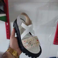 تولیدوپخش کفش کاکتوس